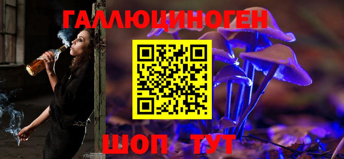 Псилоцибиновые грибы Psilocybine cubensis  Волгоград 