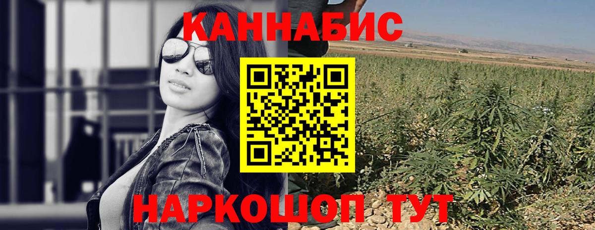 Марихуана индика  Марихуана тримм  Волгоград  Бошки марихуана Amnesia  Вход с VPN 